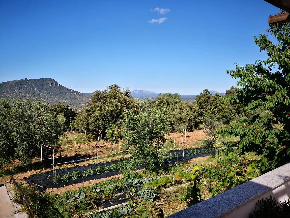 Villa Sa Pruna Oliena 0*,